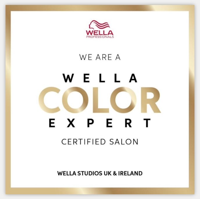 Wella Logo